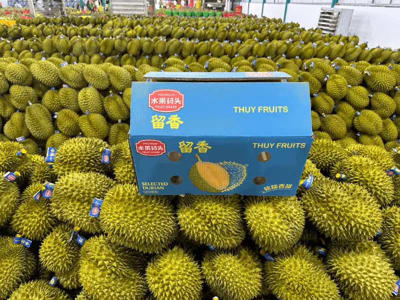 kho-sau-rieng-xuat-khau-thuy-fruits