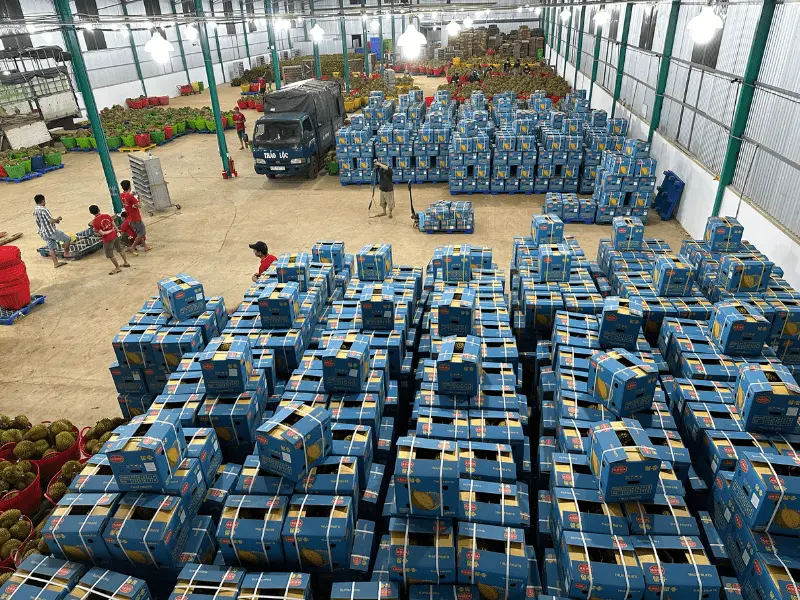 kho-sau-rieng-xuat-khau-thuy-fruits