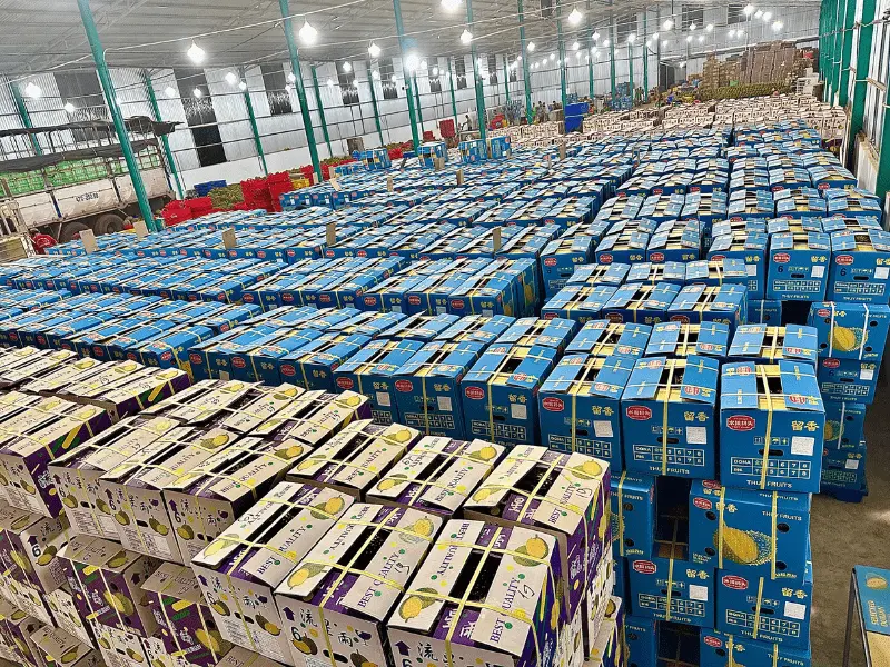 kho-sau-rieng-xuat-khau-thuy-fruits