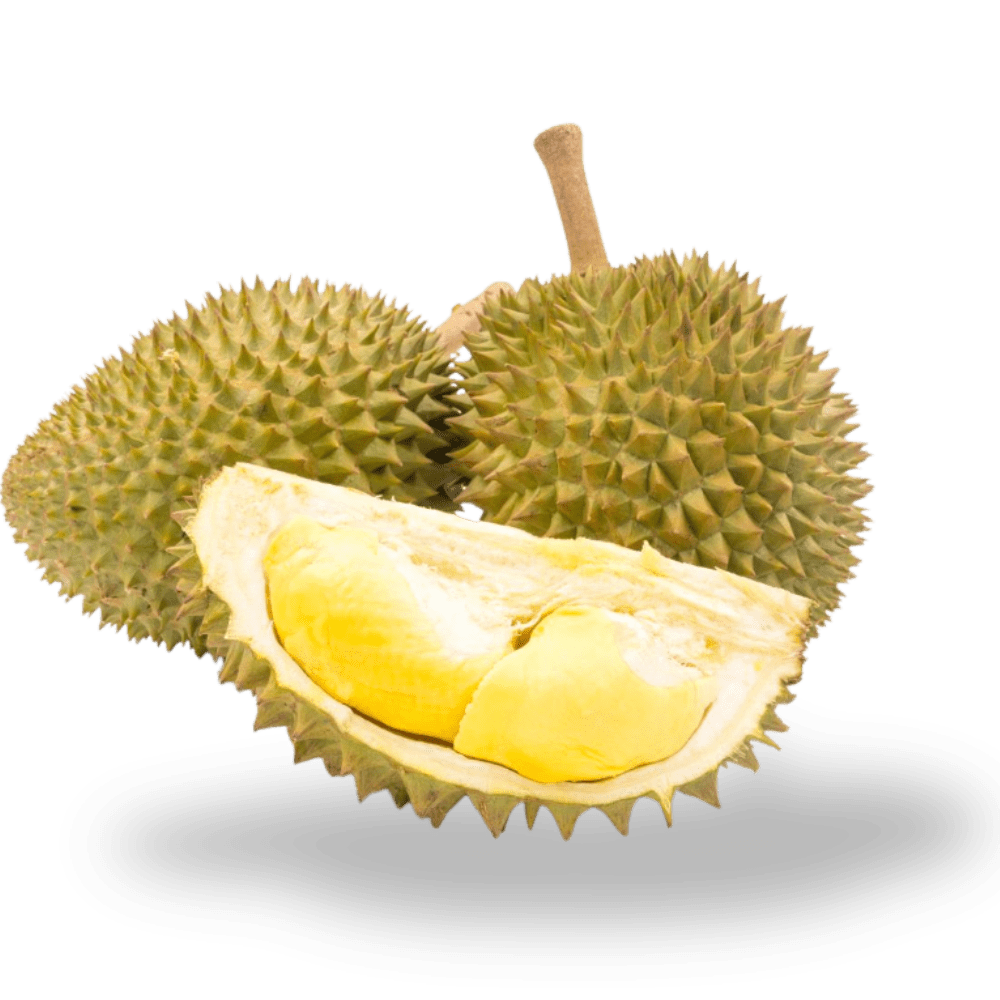 sau-rieng-ri6