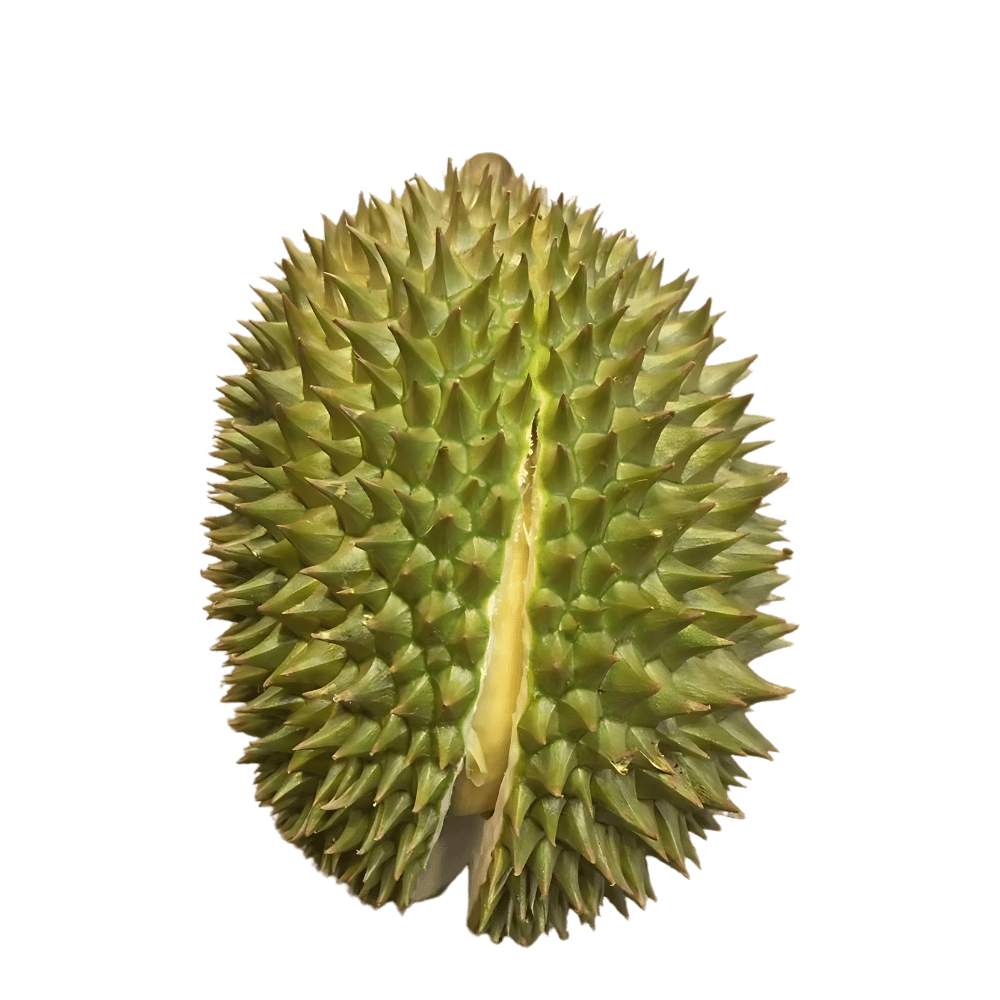 sau-rieng-chuong-bo