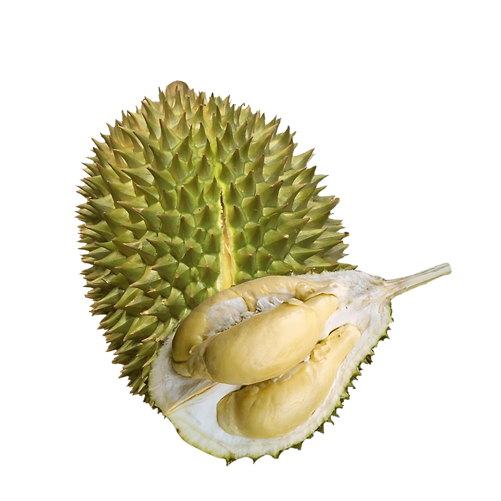 sau-rieng-chuong-bo