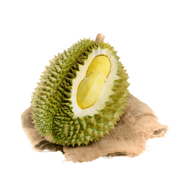 sau-rieng-dona