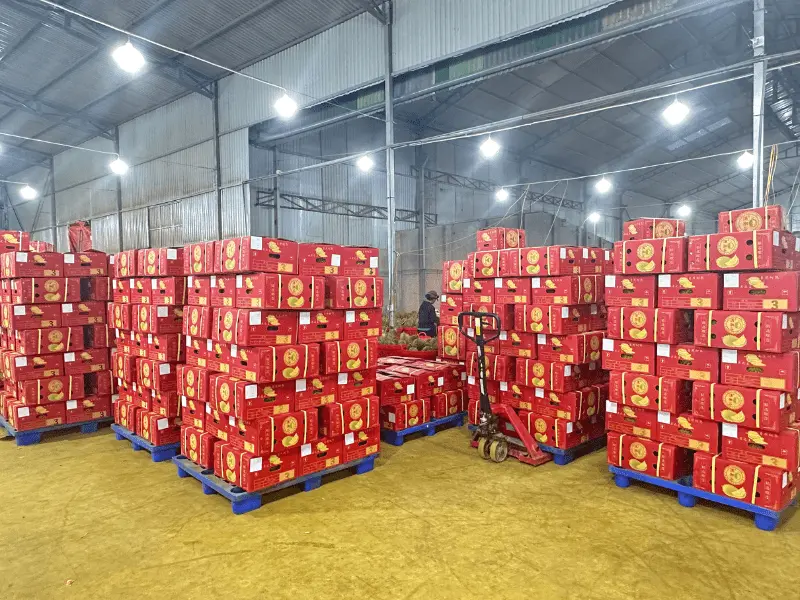 trai-cay-xuat-khau-thuy-fruits