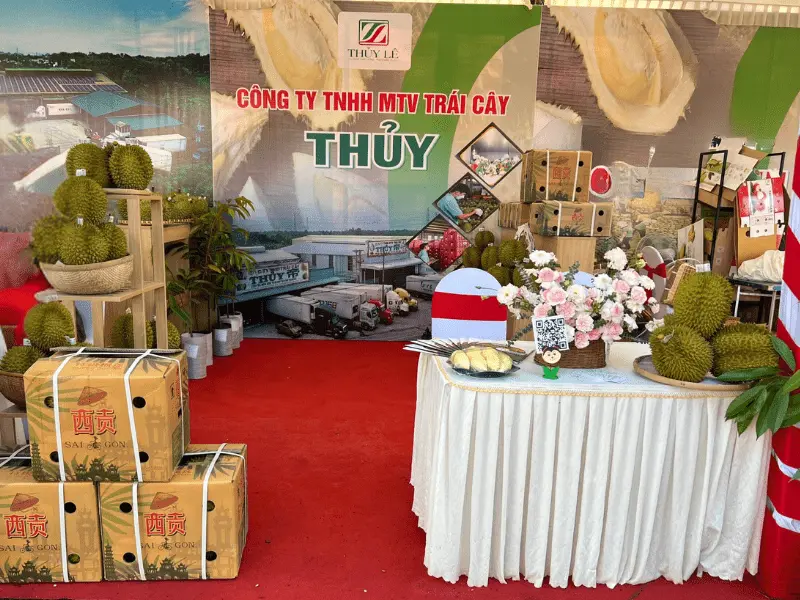 trai-cay-xuat-khau-thuy-fruits