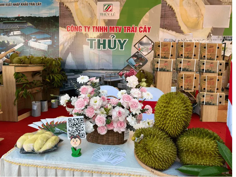 trai-cay-xuat-khau-thuy-fruits